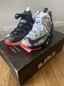 Size 8.5 - Nike LeBron 13 LMTD Low Family Foundation - Bild 1 von 7