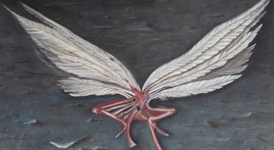 Wilhelm Wawrzenitz Stillleben Skelett Flügel Gleditsch surreal sign. Öl Leinwand - Bild 1 von 3