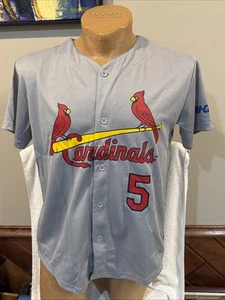 SWEET St. Louis Cardinals Albert Pujols Youth XL SGA Gray Jersey, VERY NICE!! - Picture 1 of 5