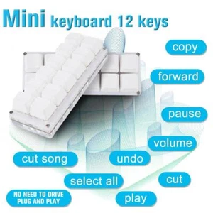 1x 12-klawiszowa klawiatura DIY Niestandardowe programowanie USB Skrót B2C1 Mechaniczny T2S4 N6D6 - Zdjęcie 1 z 11