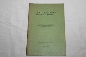 Native Shrubs of South Florida Walter M Buswell Curator Buswell Herbarium UMiami - Picture 1 of 5