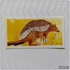 Brooke Bond Vanishing Wildlife #33 Giant Armadillo Tea Card (CC116)