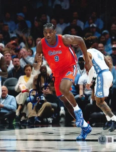 RUEBEN CHINYELU firmata (FLORIDA GATORS) pallacanestro 8X10 foto BECKETT BU41089 - Foto 1 di 1