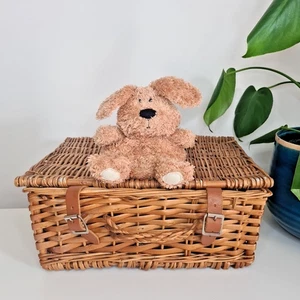Peluche giocattolo morbido Jellycat Pudding Dog 4,5" - Jellycat Pudding Puppy Beanie in pensione - Foto 1 di 14