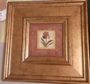 Kirklands Wandbild gerahmter Blumendruck (13 × 13) - Bild 1 von 5