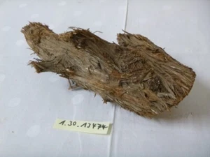 Eibe Drechselholz Schnitzholz Kantel Klangholz Rohling drechseln 25x8x5 cm - Bild 1 von 2