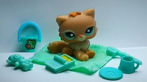 LPS # 1948 PERSIAN CAT Chat Persian AUTHENTIC Littlest Pet Shop HASBRO- 153 - Picture 1 of 9