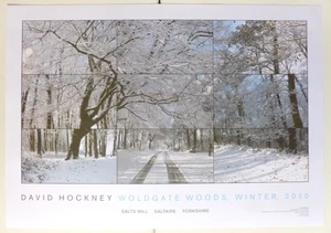 DAVID HOCKNEY Woldgate Woods Winter 2010 KUNSTAUSSTELLUNG POSTER - Bild 1 von 6