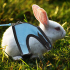  Kleines Hundegeschirr Hamster-Zugseil Kleidung Für Meerschweinchen Draussen