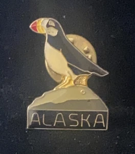 "Broche solapa pin frailecillo pájaro ALASKA 3/4"" ancho colorido" - Imagen 1 de 6