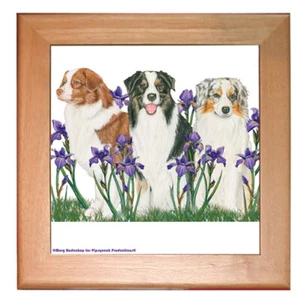 Australian Shepherd Aussie Dog Kitchen Ceramic Trivet Framed in Pine 8" x 8" - Picture 1 of 1