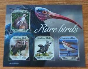 Hoja de recuerdo de estampillas de aves de Maldivas 2019 2 piezas MNH - Imagen 1 de 1