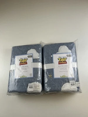 2 fundas acolchadas Pottery Barn Kids Disney Pixar Toy Story azul euro - nuevas con etiquetas Foto 1 de 4