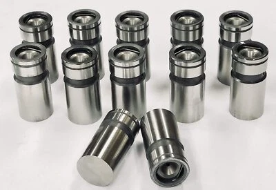 AMC Jeep 4.2L 258ci 6-Cylinder Engine Valve Lifters Tappets (Set 12) 1972-1990 - Image 1 of 4