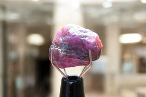 8.625ct Natural Montana Sapphire Var Ruby - Picture 1 of 4