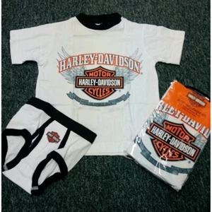Harley-Davidson Boys Logo T-Shirt & Underwear Set - Brief - Picture 1 of 3
