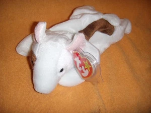BUTCH  BEANIE BABY ERROR 1998 HANG TAG-1999 BUT TAG   MWMT FREE SHIP - Picture 1 of 1