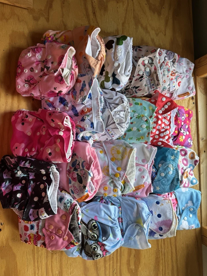 22 reusable diapers-  and one cover only- several different brands - Image 1 of 1