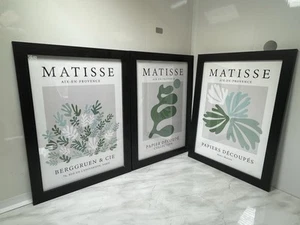 Carteles Henri Matisse exposición enmarcados 3 diseños verdes marcos negros - Imagen 1 de 11