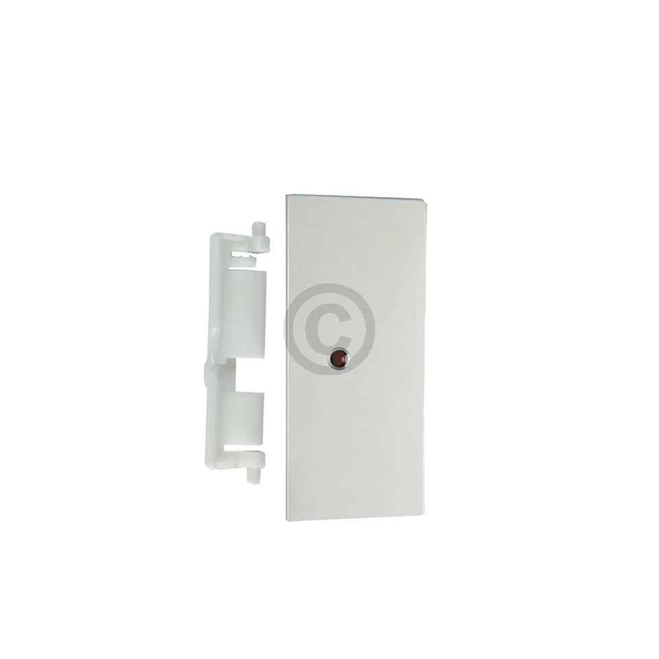 Türgriff mit Feder für Gefrierfach BOSCH 00059129 in Kühlschrank - Bild 1 von 1