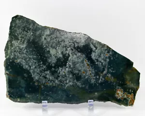 Fetta di agata muschio verde blu 9,75" 1,1 libbre cristallo naturale lastra da collezione - India - Foto 1 di 5