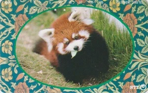 Télécarte JAPON / 231-211 B - ANIMAL - PETIT LESSER PANDA ROUX - JAPAN phonecard - Imagen 1 de 1
