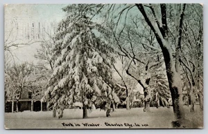 Charles City Iowa~Park in Winter~Snow Laden Trees~1911 CU Williams Postcard - Picture 1 of 2