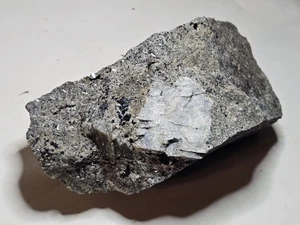 Großer Anorthoklas Kristall in Syenit Wisconsin Mondstein - Stettin Komplex, WI - Bild 1 von 7