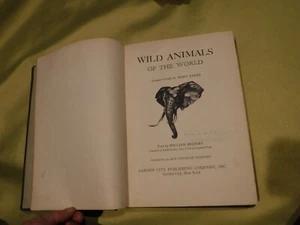Wild animals of the world by William Bridges & MARY BAKER 1948 BOOK - Picture 1 of 12