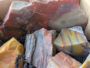 Collectible Box 1 : Arizona Rainbow Petrified Wood- Select color, textures & mix - Picture 1 of 6