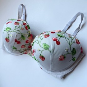 Victoria's Secret Dream Angels Push-Up Bra 36DDD Strawberry Cherry Embroidered