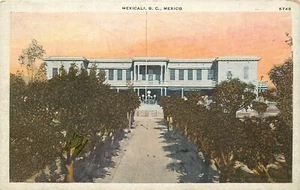 DB Mexico Postcard M431 Mexicali B.C. Street View Mansion Tree Lined Street - Picture 1 of 2