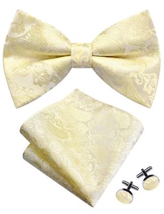 Light Yellow Bow Tie Pocket Square Set for Men Pre-Tied Silk Paisley Bowties ... - Picture 1 of 6
