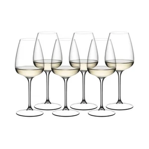 NEW Riedel Grape@Riedel White Wine/Champagne/Spritz Glass Set 6pce - Picture 1 of 3