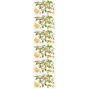 3 Pack Cat Wall Stickers Peeking Art Baby Girl Adhesive for Bedrooms - Afbeelding 1 van 12