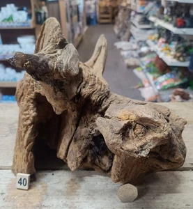 Derwen Oak Bogwood 25-67cm Dense Driftwood ideal for aquariums & vivariums - Picture 1 of 23