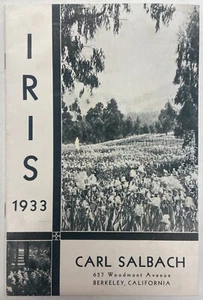 1933 - Iris - Carl Salbach - Bild 1 von 5
