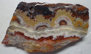WRG- Mexican Crazy Lace Agate Slab 42 grams Mexico Lapidary Plume Moss - Picture 1 of 4