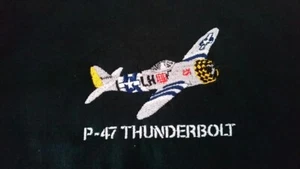 USAF UNITED STATES AIR FORCE P-47 THUNDERBOLT KAPUZENPULLOVER - Bild 1 von 1