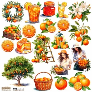 AUFKLEBER - ScrapLove - Oranges 1 - Orangen 1 - Bild 1 von 1