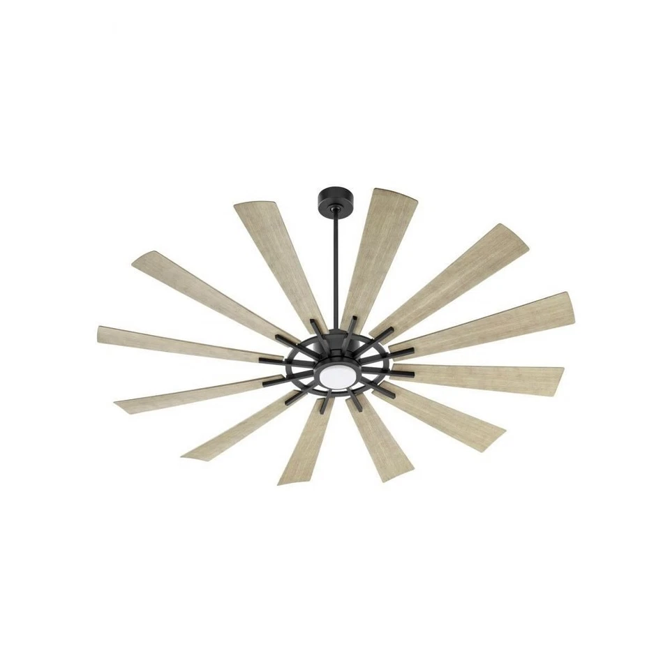 Cirque - 12 Blade Patio Fan with Light Kit-15 Inches Tall and 72 Inches - Image 1 of 1