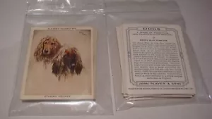 SPIELER HUNDEKÖPFE GROSS VON SPIELERN, (WARDLE) FULL SET SEHR GUT + UNISSUED - Bild 1 von 2