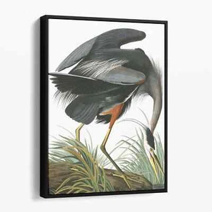 Great Blue Heron - Birds of America Audubon Vintage Animal Canvas Wall Art Print - Picture 1 of 7