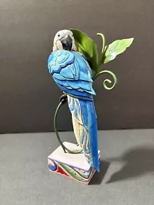 Jim Shore Pretty Bird Macaw Parrot 2007 Heartwood Creek #4009249 - Picture 1 of 8