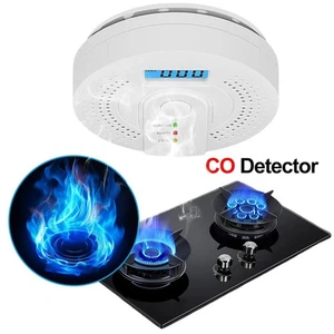Battery Powered Digital CO Detector with LED Alarm for Home Safety - Picture 1 of 6
