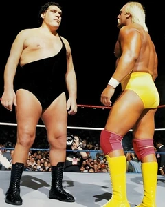 Póster 9x12 Hulk Hogan WWE Andre The Giant vs Hulk Hogan WrestleMania III - Imagen 1 de 1