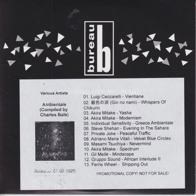 VARIOUS ARTISTS : AMBIENTALE - COMPILED BY CHARLES BALS (CD; OFFICIAL PROMO) - Image 1 of 2