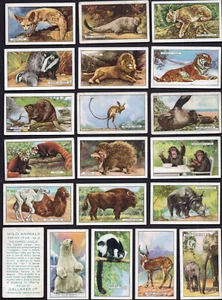 Gallaher - Wild Animals - Complete Set - Picture 1 of 1