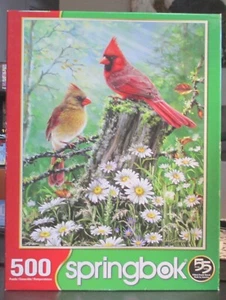 GOLDEN LIGHT BY DONA GELSINGER - Complete - SPRINGBOK PUZZLE - Foto 1 di 2