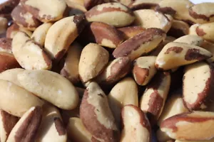 1kg Paranüsse, NATUR, unbehandelt, beste Qualität - Bild 1 von 2